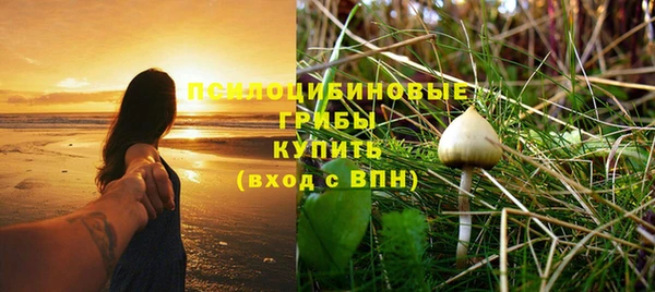 соль курить ск Аркадак