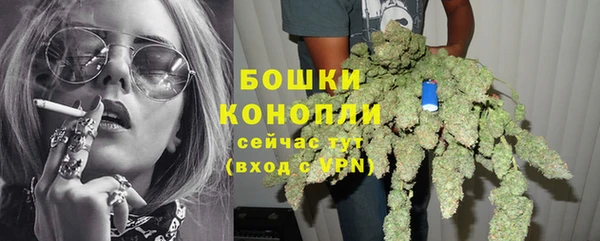 экстази Няндома